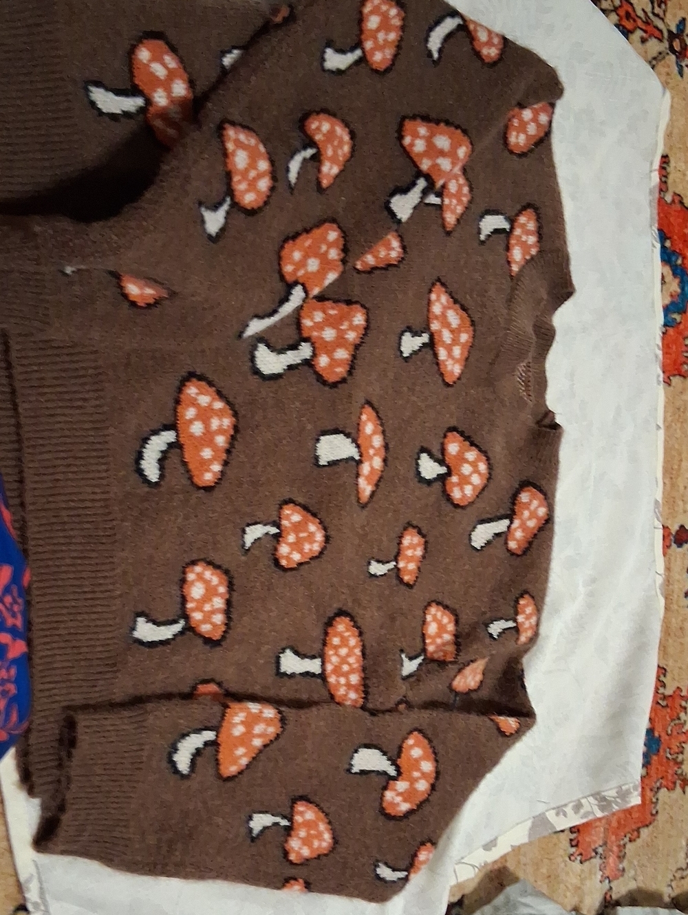 r Sanity Brown Sweater with Orange & White Mushroom Motif